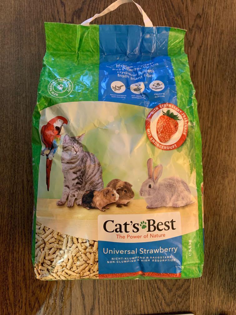 Cat litter for mice bedding hotsell