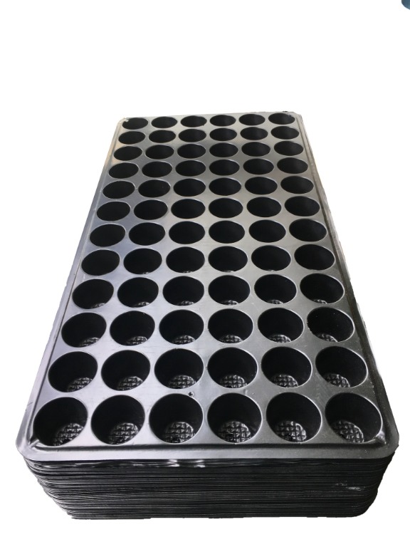 72 Hole Seedling Tray for Farm Garden Greenhouse Plants Seeds