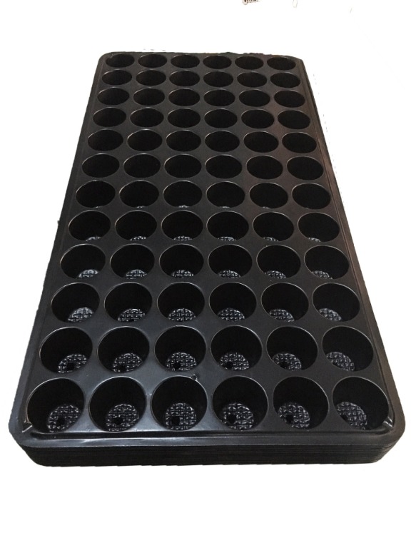 72 Hole Seedling Tray for Farm Garden Greenhouse Plants Seeds