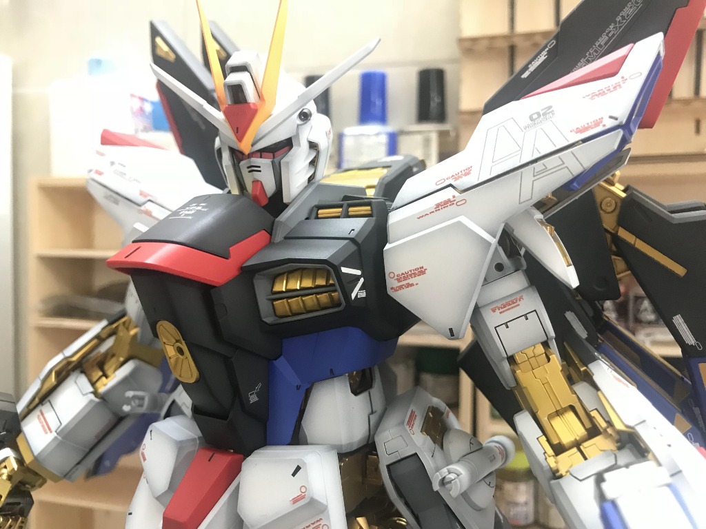 PG_高達_突擊自由_分享作品_ 大師作品_純粹欣賞, 興趣及遊戲, 玩具 & 遊戲類 - Carousell