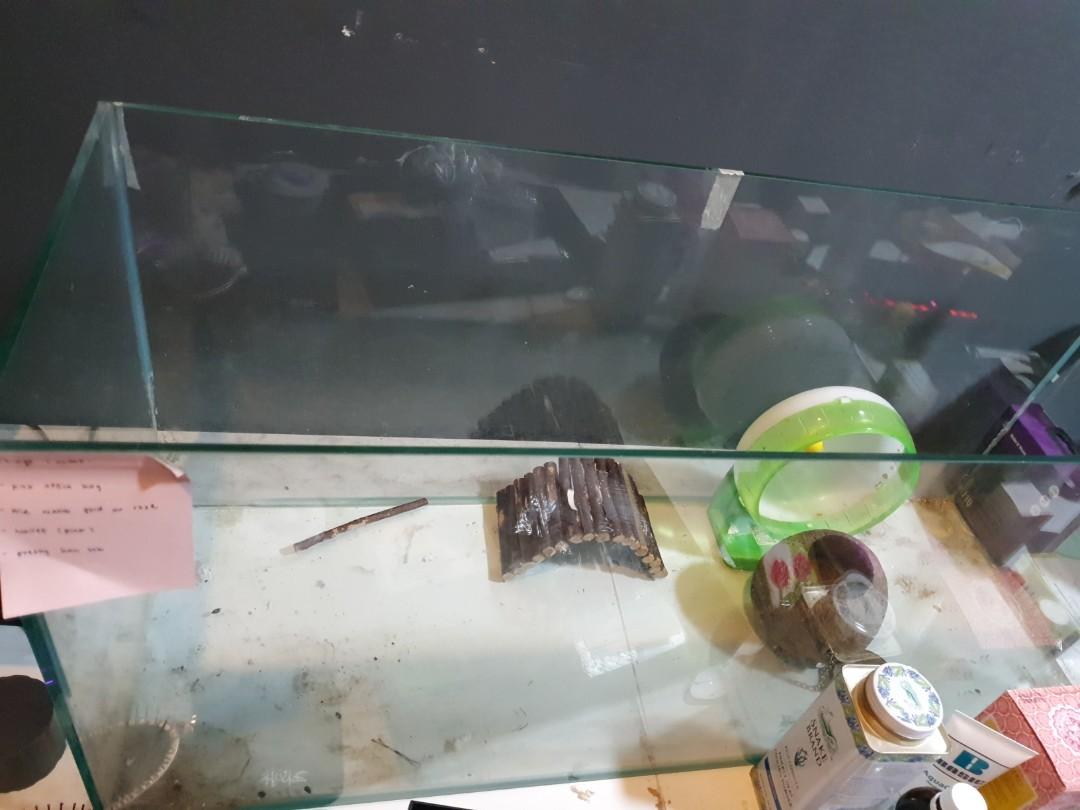Fish Tank for hamster 3ft x 1ft x1ft, Pet Supplies, For ...