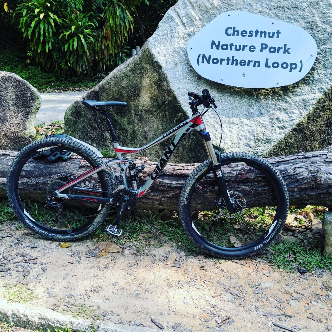 giant trance 3 2015