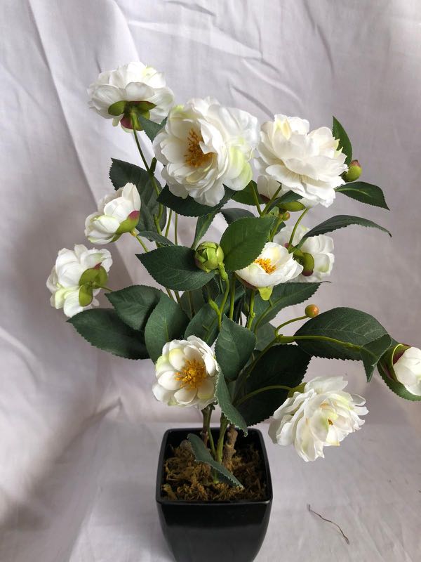 Artificial Camellias Plant in pot, Gardening, Plants on Carousell
