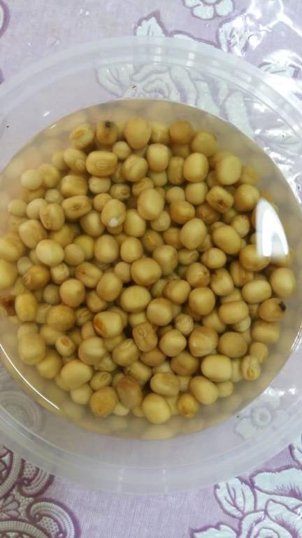 Benih Kacang Botol, Home u0026 Furniture, Gardening on Carousell