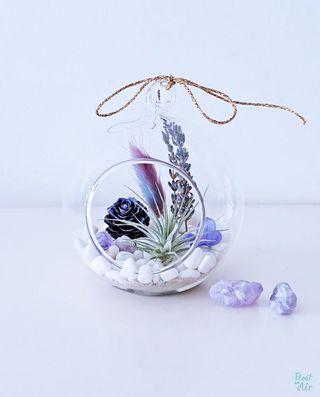 Aerium: Grace Globe (L) with lavender / air plants / amethyst crystals