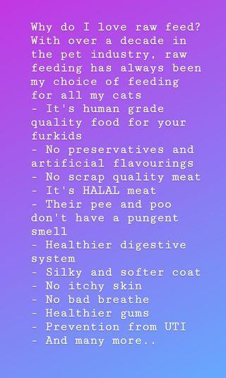 RawFeed Cat Food available (Human Grade Quality)