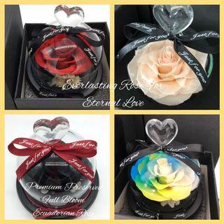 Preserved Rose