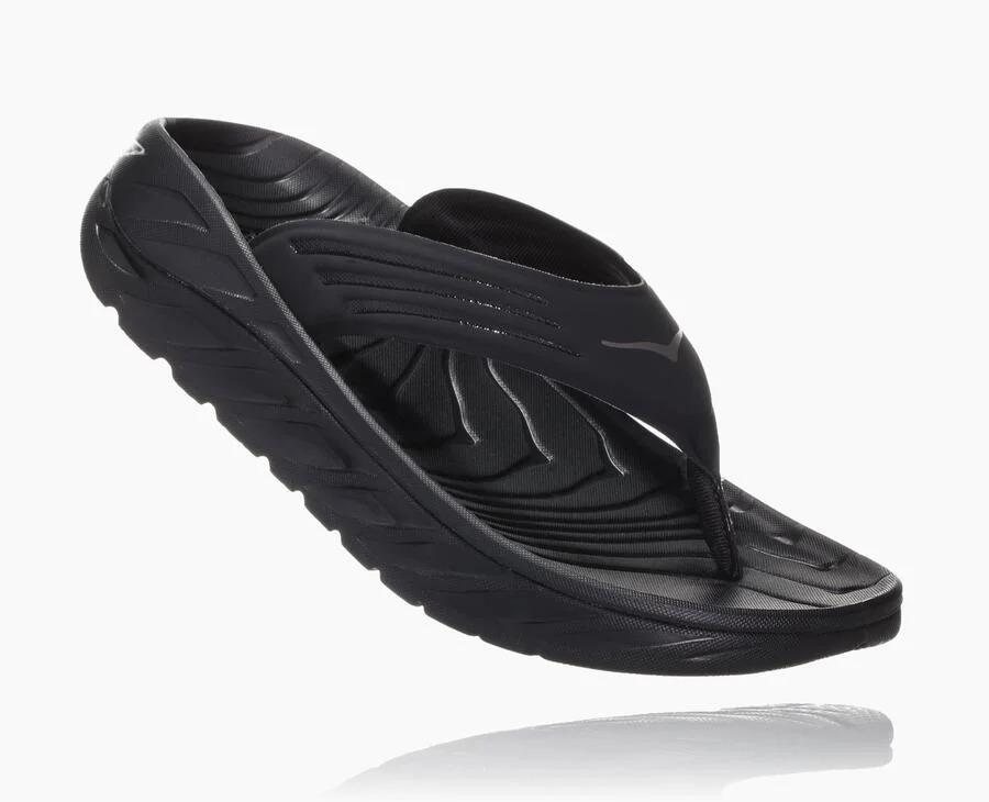 steve madden roma