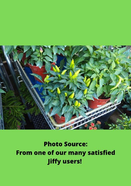 Jiffy Potting Soil 002 (70L40) CHEAP, Furniture & Home Living