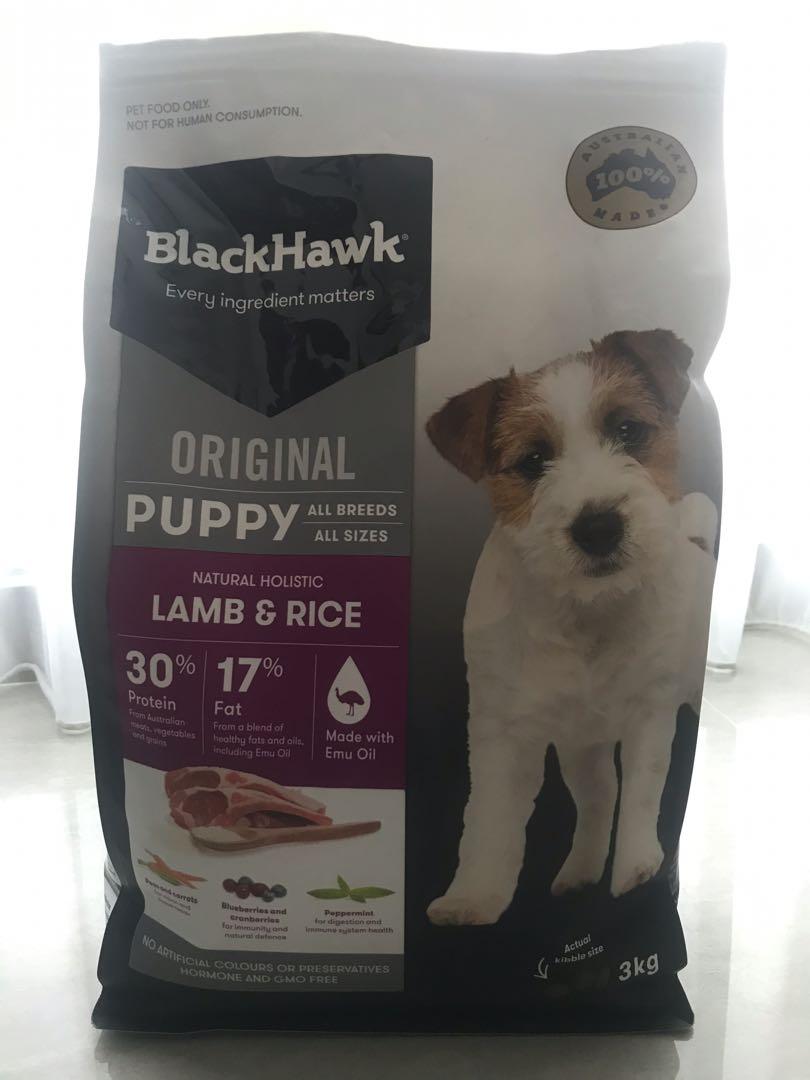 Black hawk puppy lamb discount