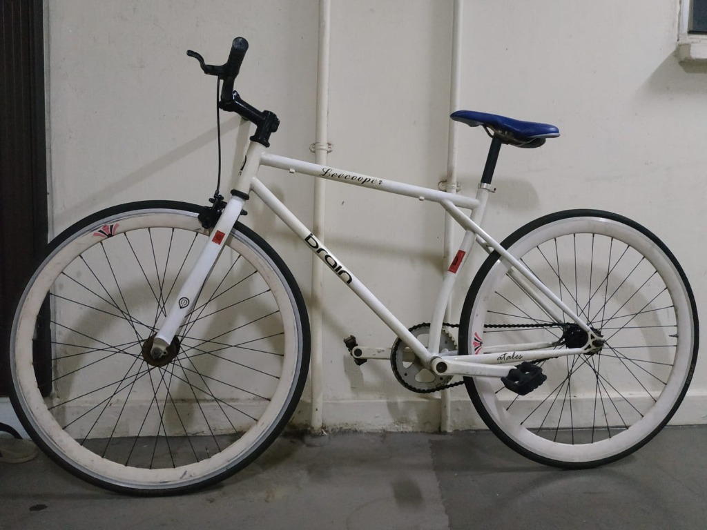 brain fixie