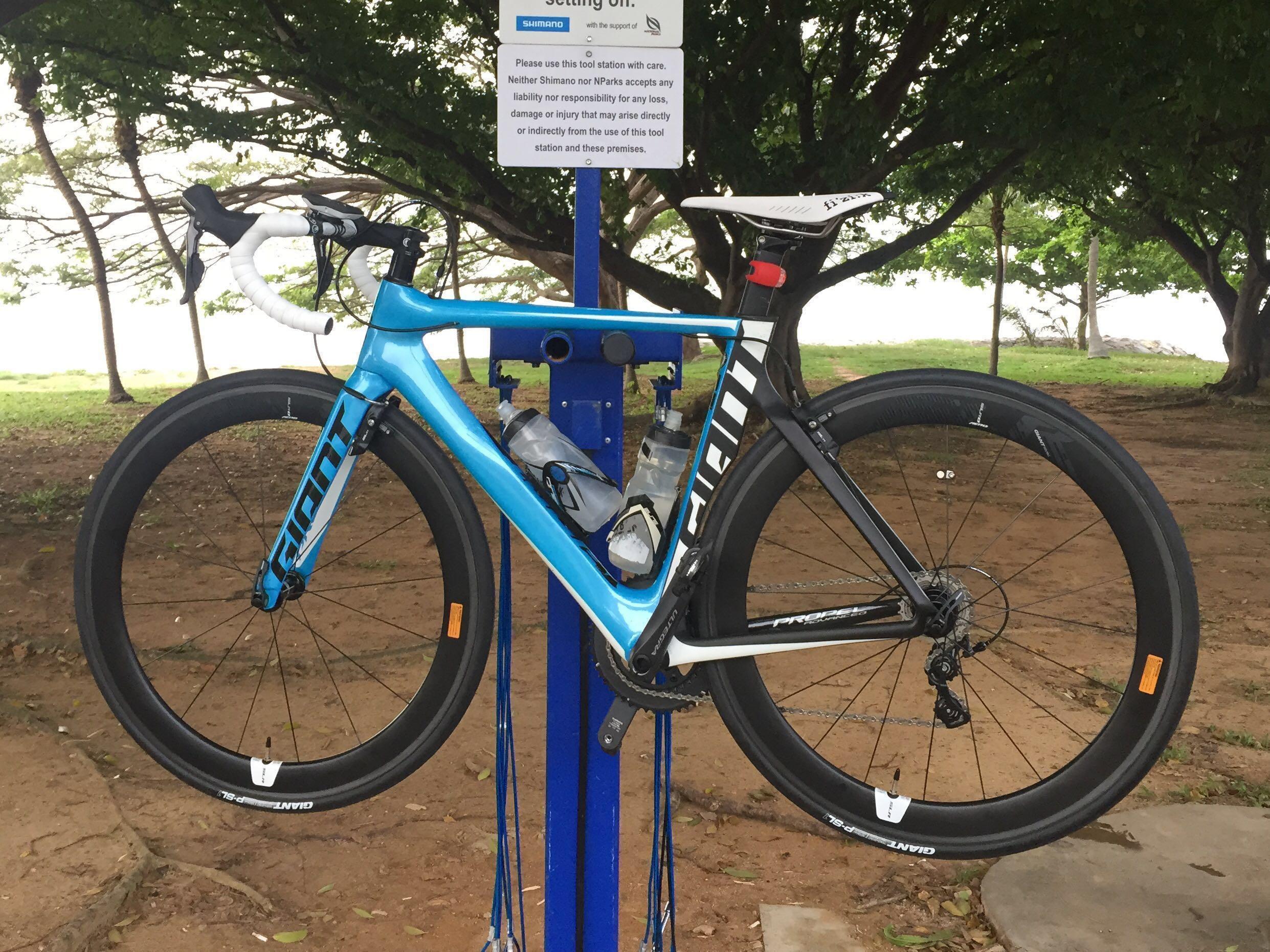 giant propel advanced 1 ltd 2015