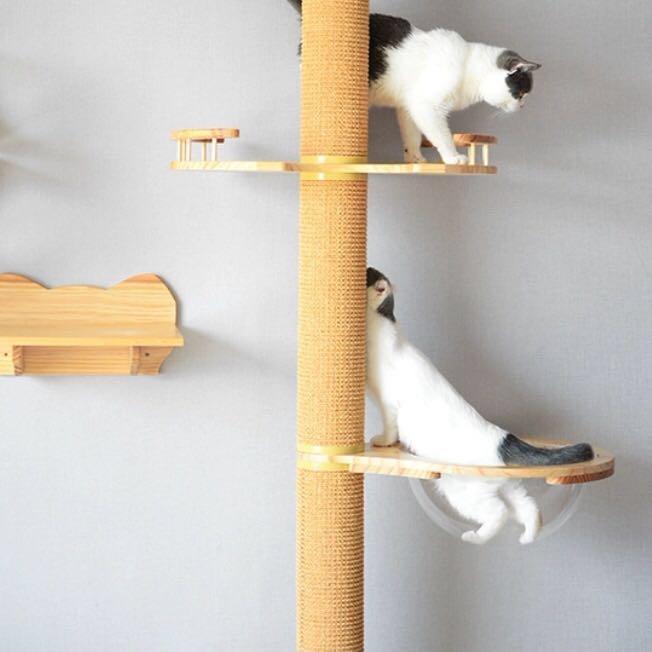 (New!) ceiling cat tree condo spaceship bowl hammock bed scratch pole
