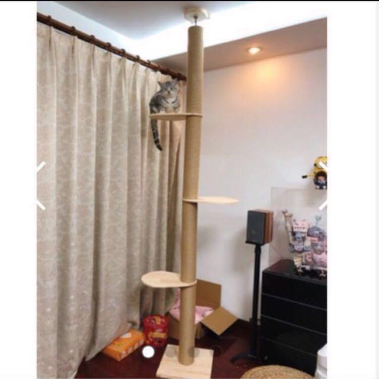 (New!) ceiling cat tree condo spaceship bowl hammock bed scratch pole