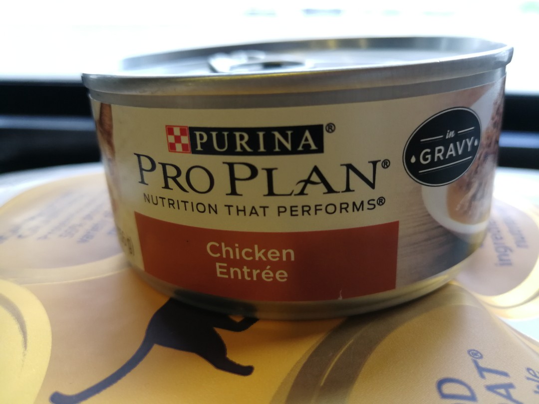 Purina Pro Plan Gravy Wet Cat Food Chicken Entree 5 5 Ounce Pet Supplies For Cats Cat Food On Carousell
