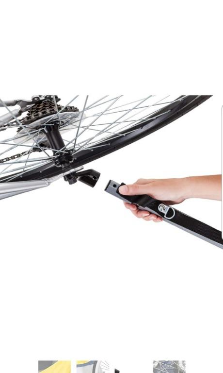 schwinn echo kids