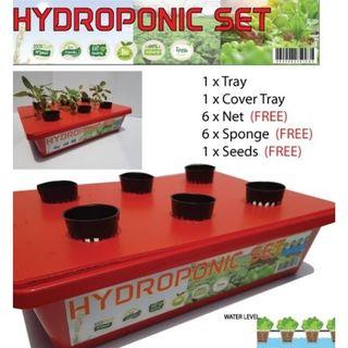 Hydroponic Set Gardening Carousell Malaysia