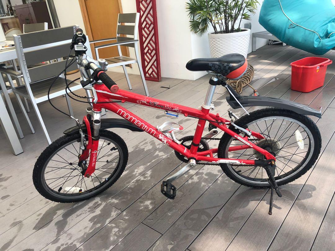 20“ Children GIANT Momentum 520 bike 