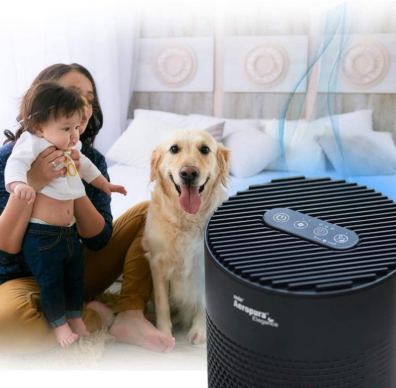 Ansio Air Purifier Home With True Hepa Activated Carbon Filter