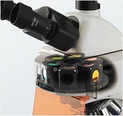 CN-OPTEC BK6000 BINOCULAR/TRINOCULAR BIOLOGICAL MICROSCOPE, Health ...