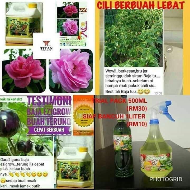 Baja Ajaib Ezigrow, Home u0026 Furniture, Gardening on Carousell