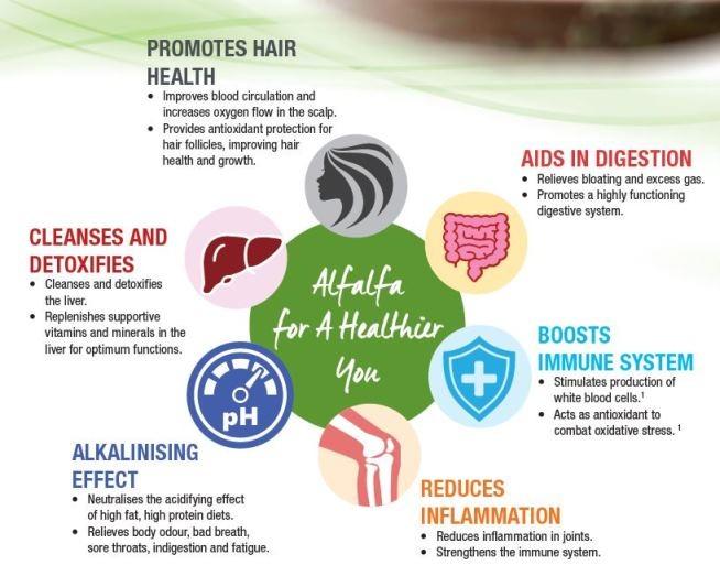 Shaklee Alfalfa Complex With Calcium an AntiInflammatory, Babies