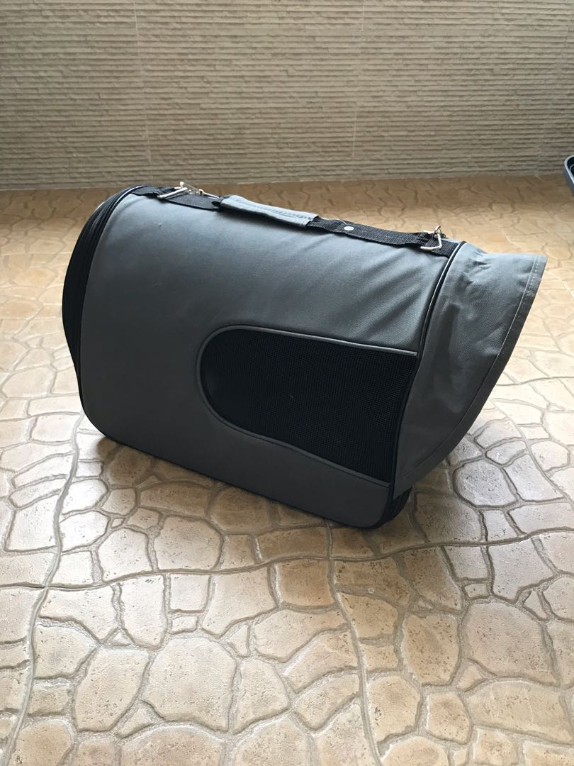 Cat Carrier, Pet Supplies, Homes & Other Pet Accessories on Carousell