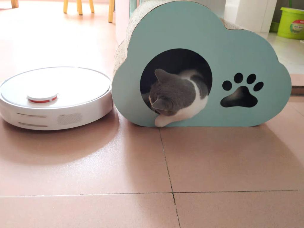 Cloud Dome Scratcher, Pet Supplies, For Cats, Cat Accessories on Carousell