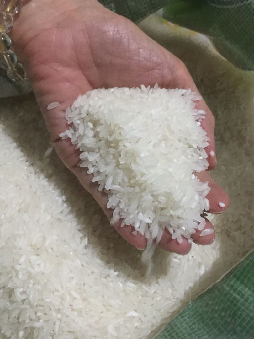 Local Rice - Isabela Whole Grain Rice, Food & Drinks, Local Eats on ...