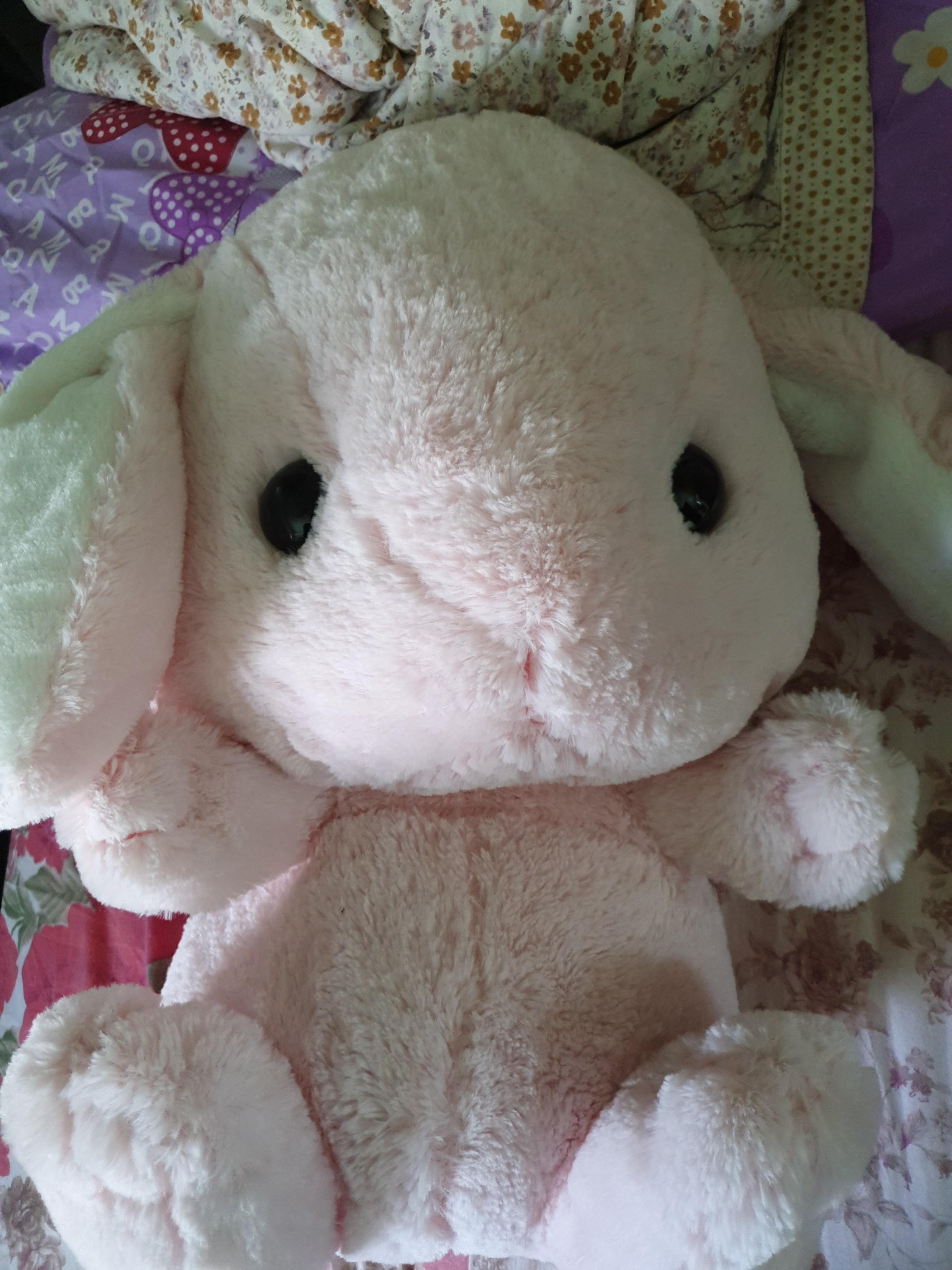Amuse Bunny Rabbit, Hobbies & Toys, Toys & Games on Carousell
