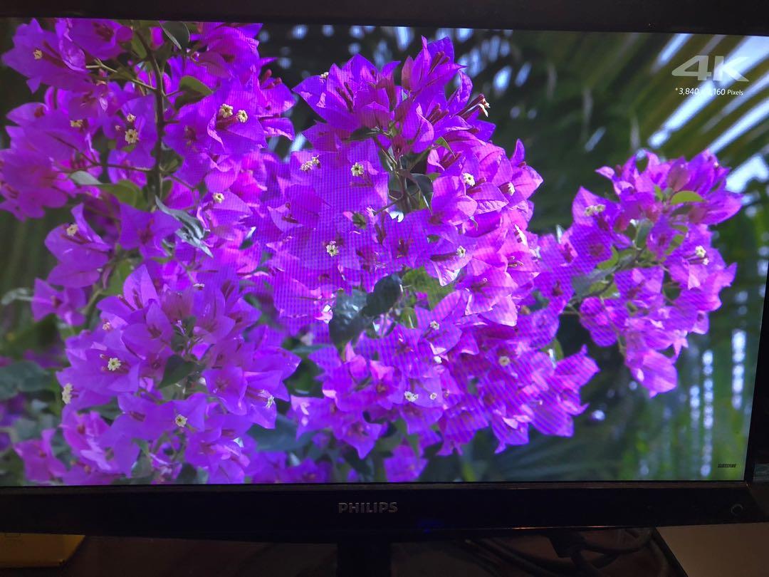 Philips 226v3l 22’ 22吋 22寸 monitor mon 螢幕 螢光幕 顯示屏 mon monitor, 電視及其他電器 ...