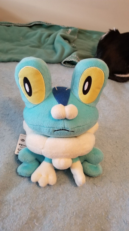 pokemon froakie plush