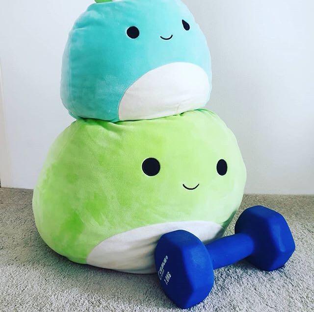 Aesthetic Soft Decorative Pillow Cushion Soft Toy Plush Furniture Sofas On Carousell