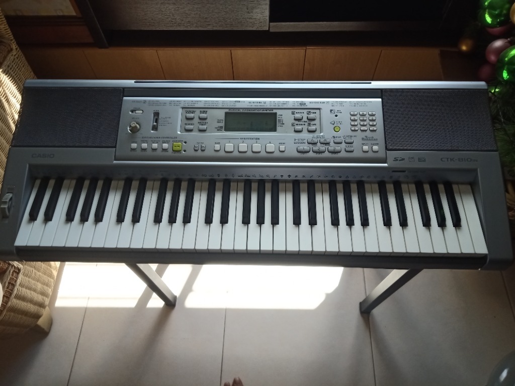 Casio CTK 810in with stand Hobbies Toys Music Media Musical