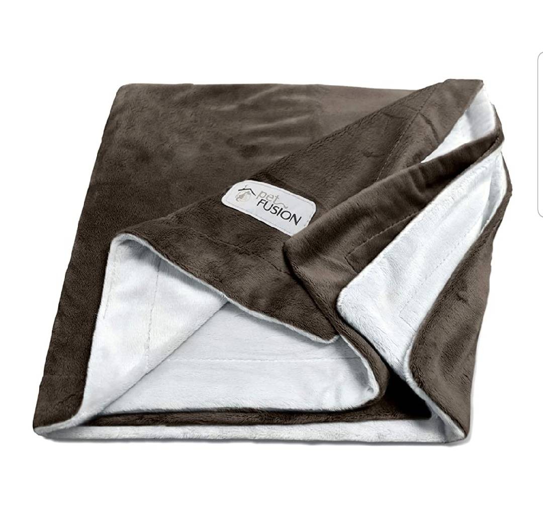 Petfusion premium pet blanket Clearance