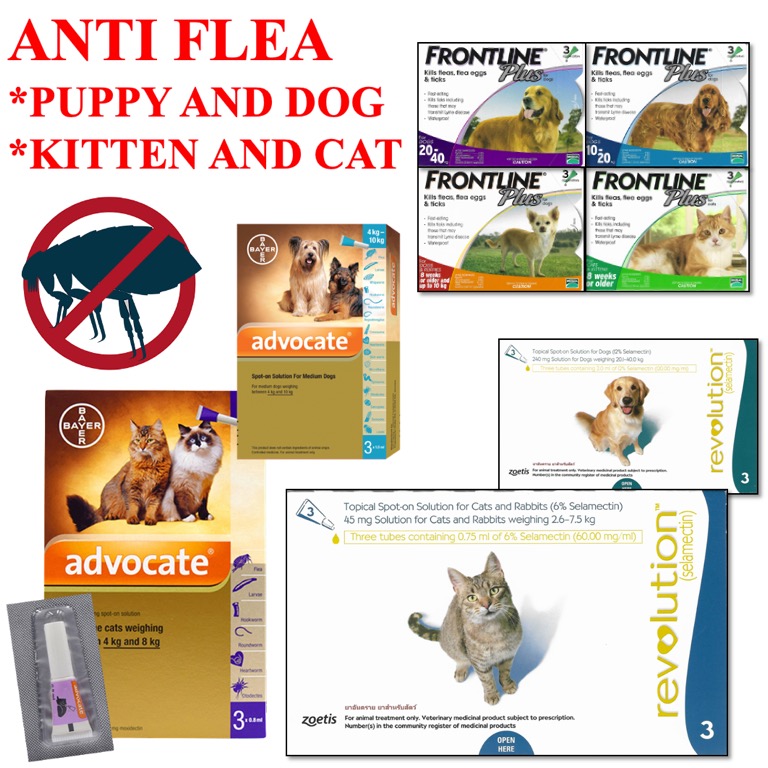 Frontline revolution shop for dogs