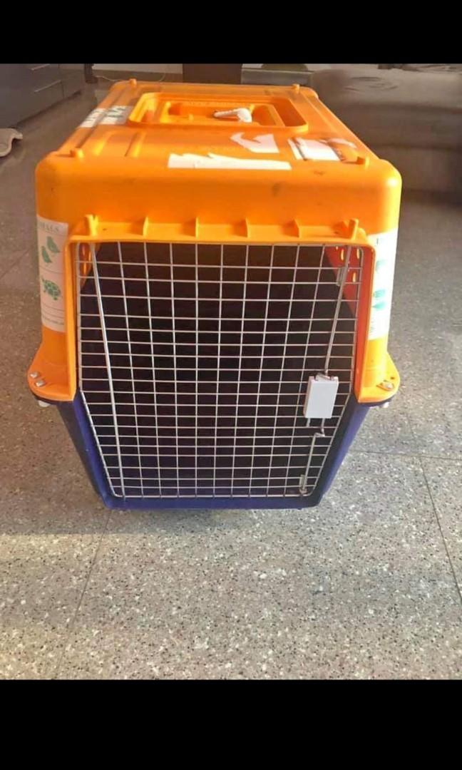 PP50 Dog Crate IATA, Pet Supplies, Homes & Other Pet Accessories on Carousell