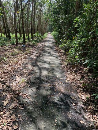 Tanah Untuk Dijual Di Kelantan For Sale Carousell Malaysia