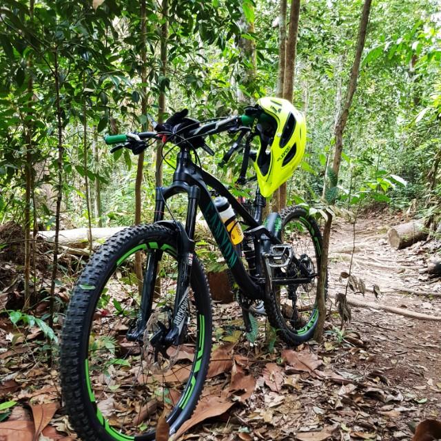 canyon nerve 27.5