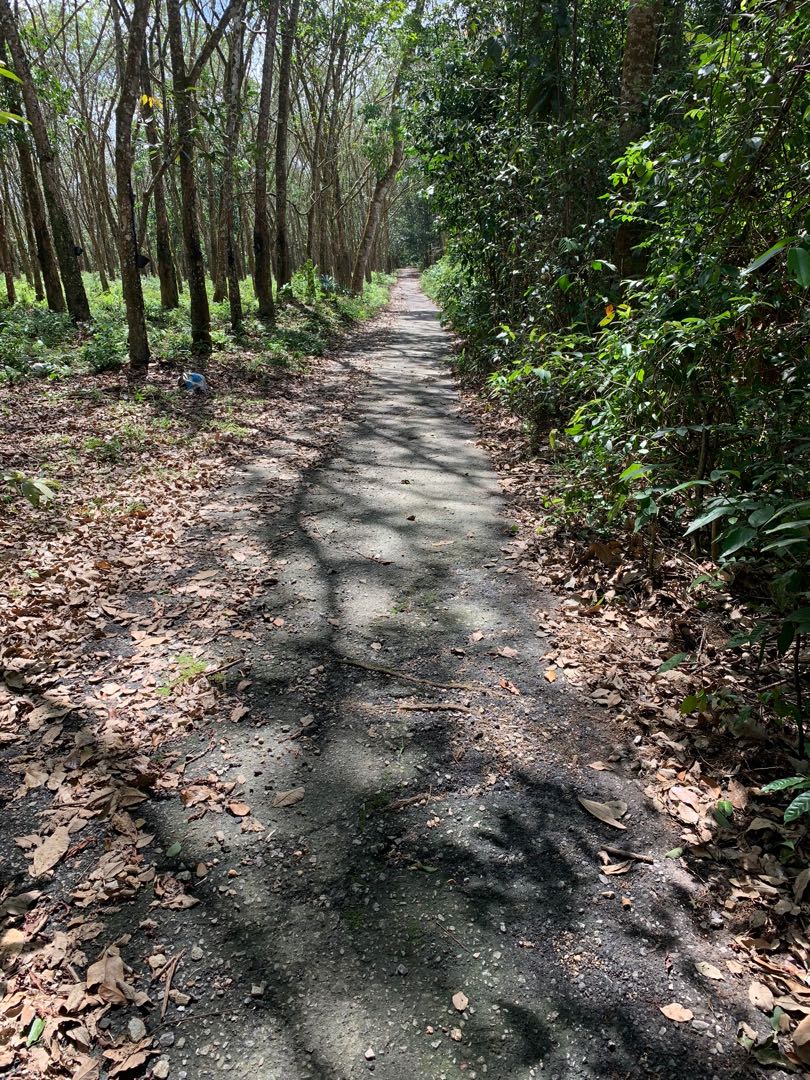 Lot Tanah 2 73 Ekar Di Tanah Merah Kelantan Property For Sale On Carousell
