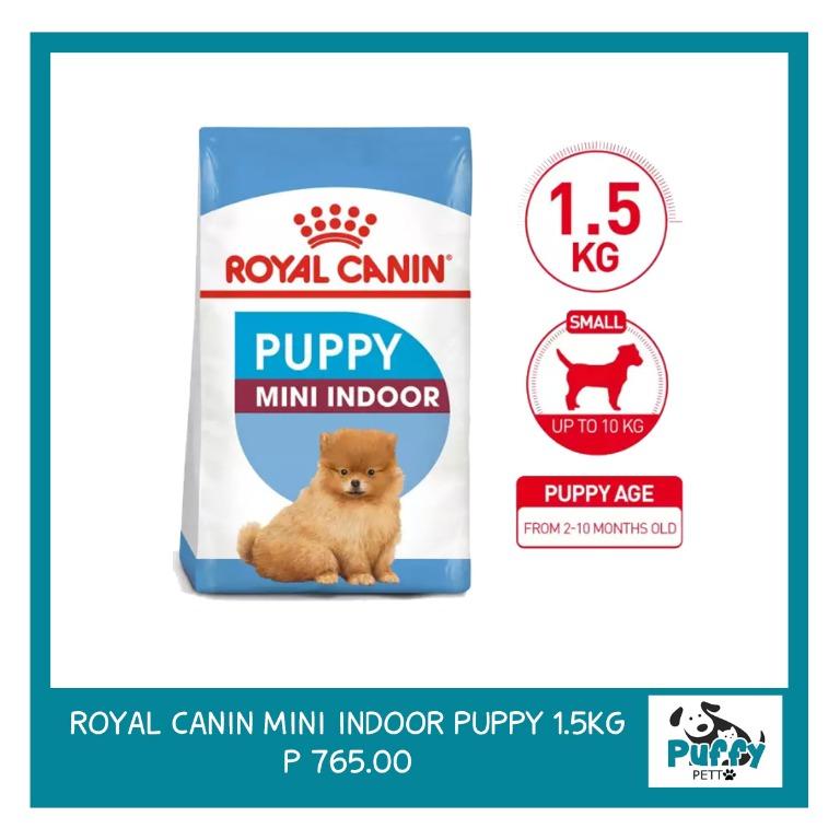 Royal Canin Mini Indoor Puppy 1 5kg Pets Supplies Pet Food On Carousell