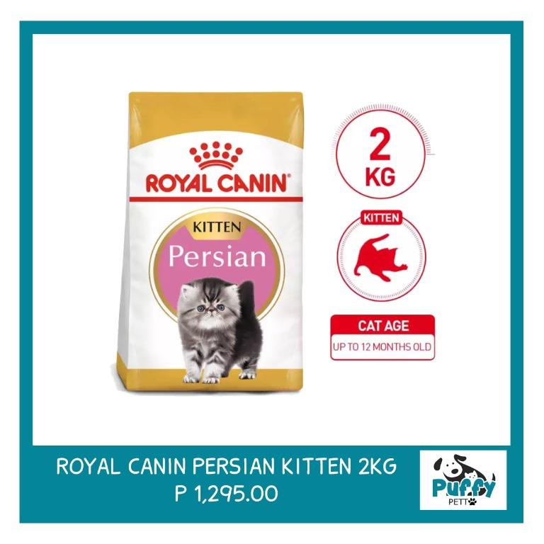 Royal Canin Persian Kitten 2kg 10kg Pets Supplies Pet Food On Carousell