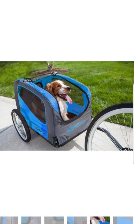 schwinn dog trailer