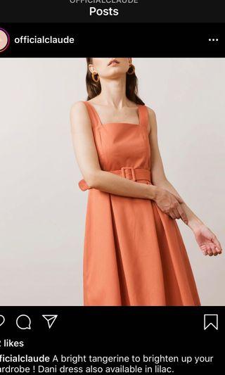 Claude Official TANGERINE dress🍊 