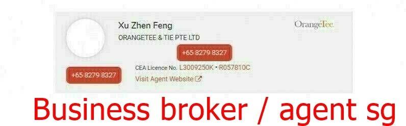 singapore businesses for takeover