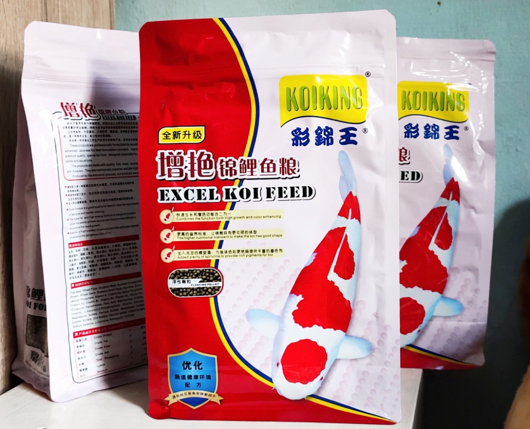 Koi king food online