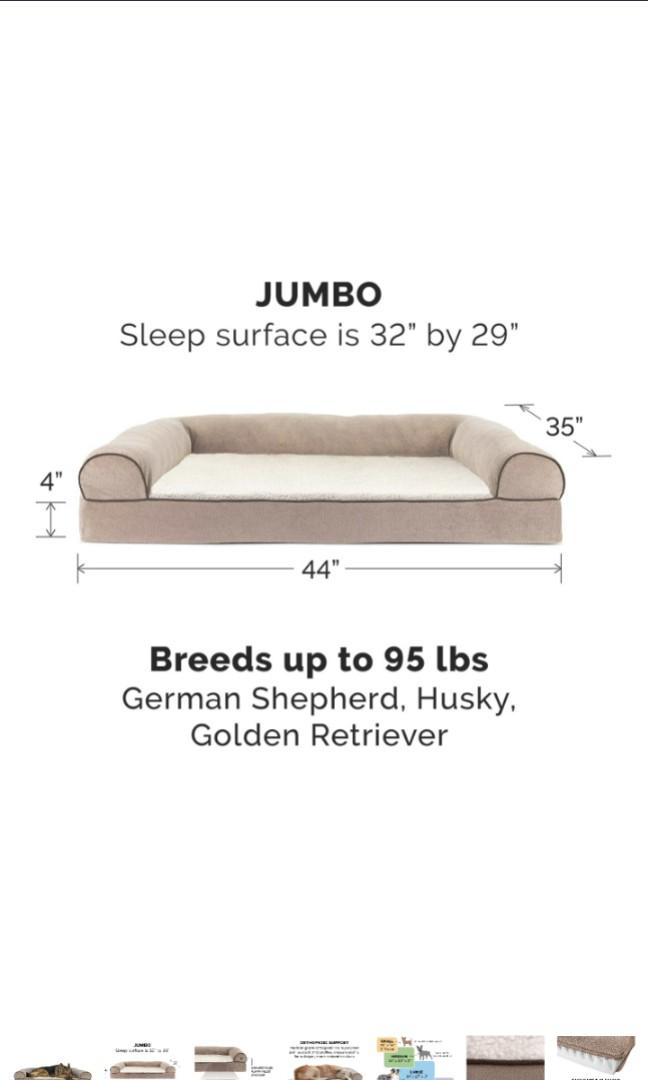 sofa style dog bed