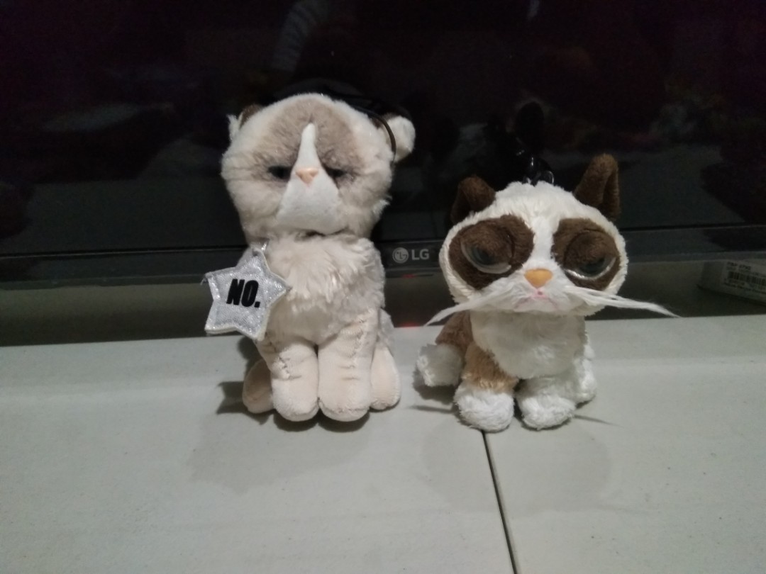 grumpy cat webkinz