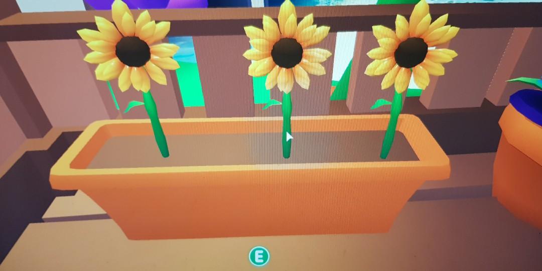 Roblox Adopt Me Everything Else Others On Carousell