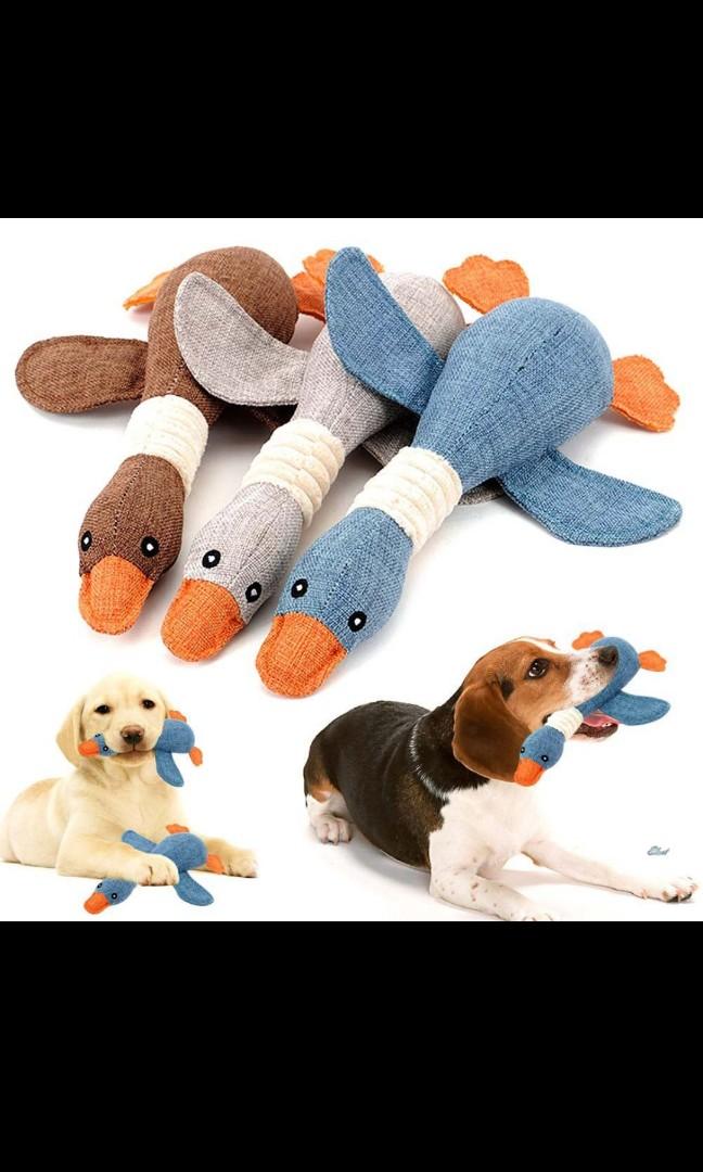 new pet toys